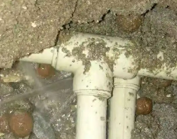 珠山测漏水多少钱