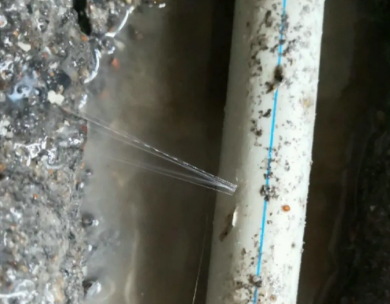 珠山测漏水哪家好